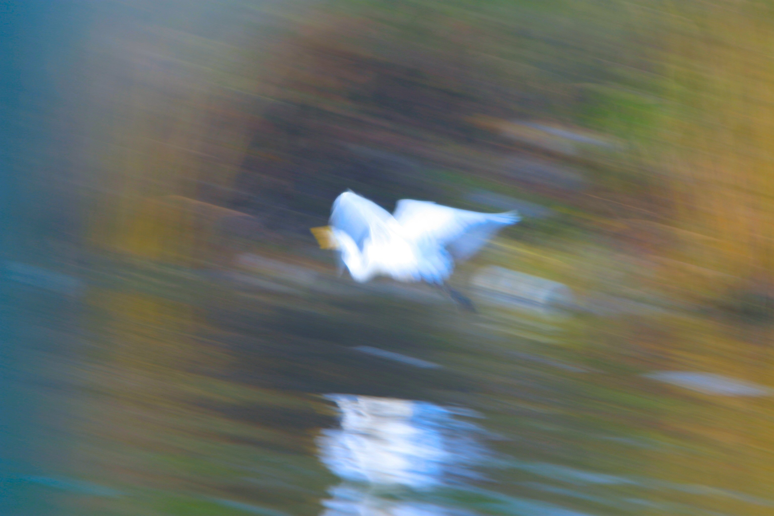 113_1351A.jpg